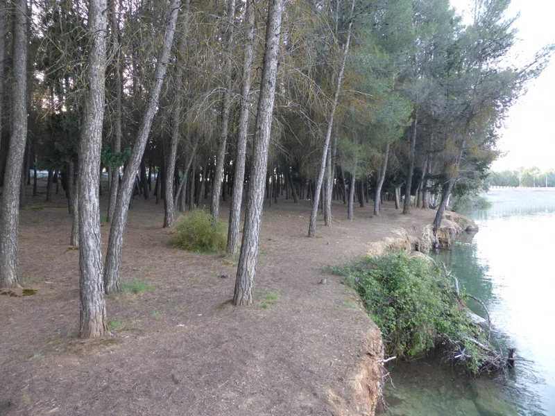 Landscape — location reference 19