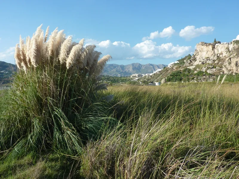 Landscape — location reference 22