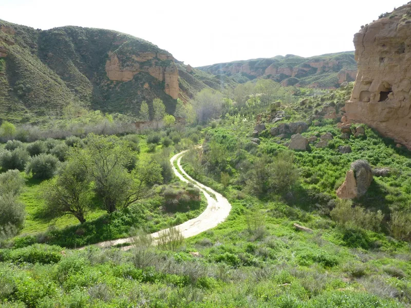 Landscape — location reference 07