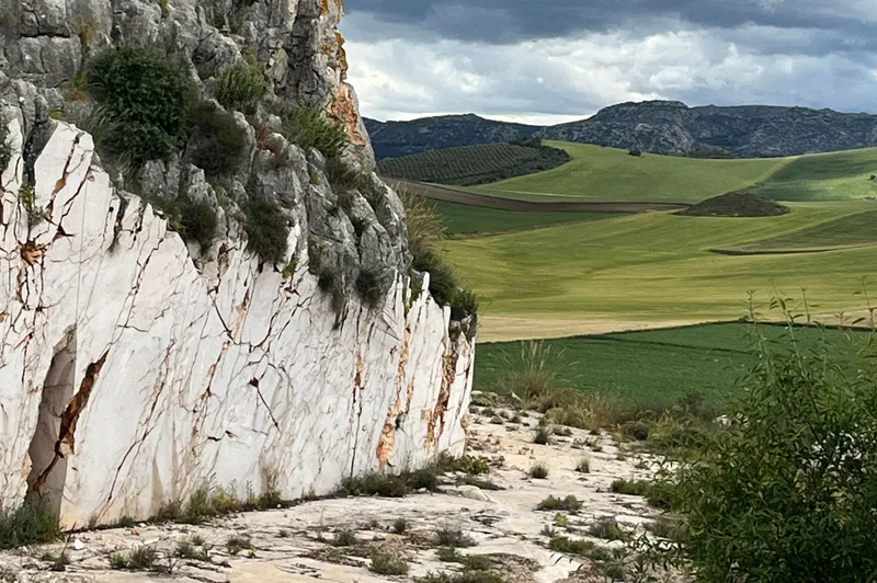 Landscape — location reference 05
