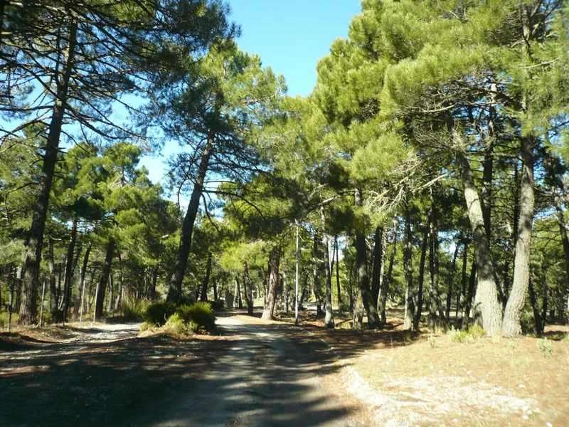 Landscape — location reference 20