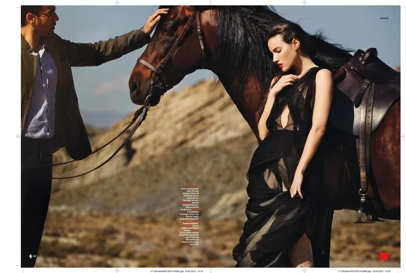 Horses & ranches