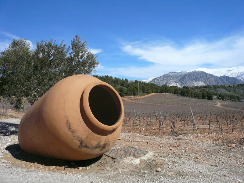 Spanish character — location reference 16